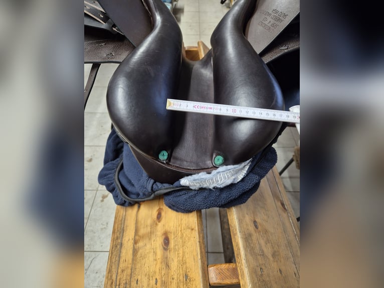 Amerigo Salto Vega, 17 Zoll, braun