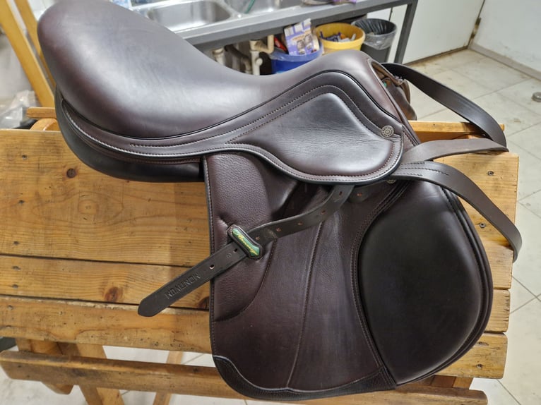 Amerigo Salto Vega, 17 Zoll, braun