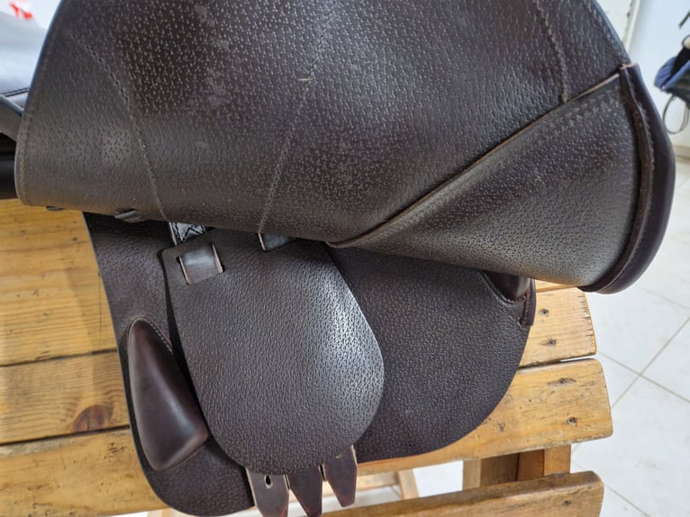 Amerigo Salto Vega, 17 Zoll, braun