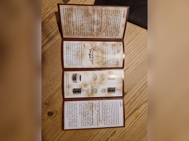 Amerigo Salto Vega, 17 Zoll, braun