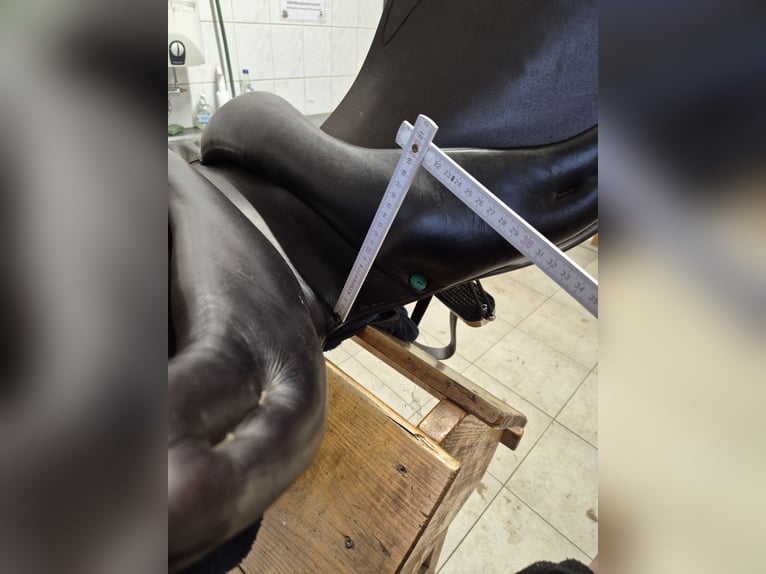 Amerigo Salto Vega, 17 Zoll, braun