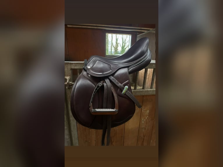 Amerigo Springsattel 17 Zoll – nur 2 Jahre alt