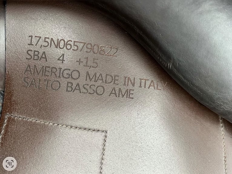 Amerigo Springsattel Basso