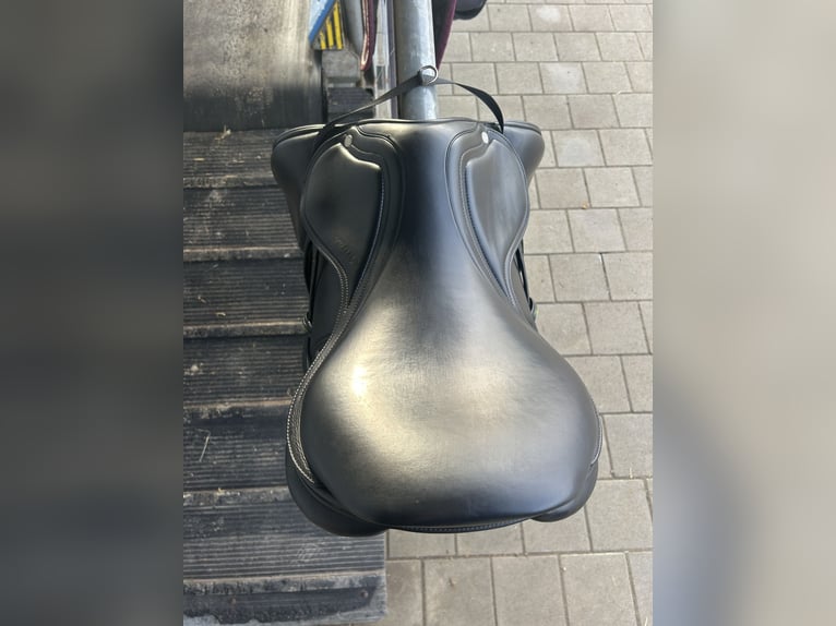 Amerigo Springsattel