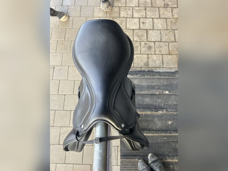 Amerigo Springsattel