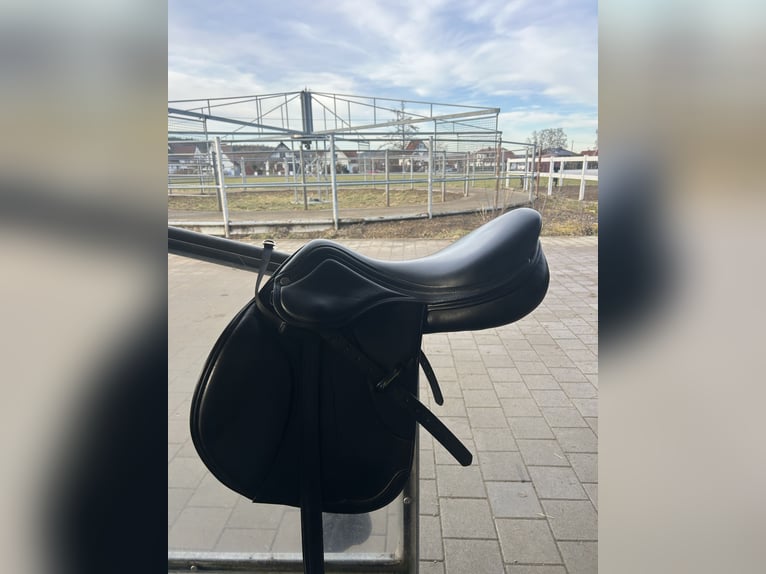 Amerigo Springsattel