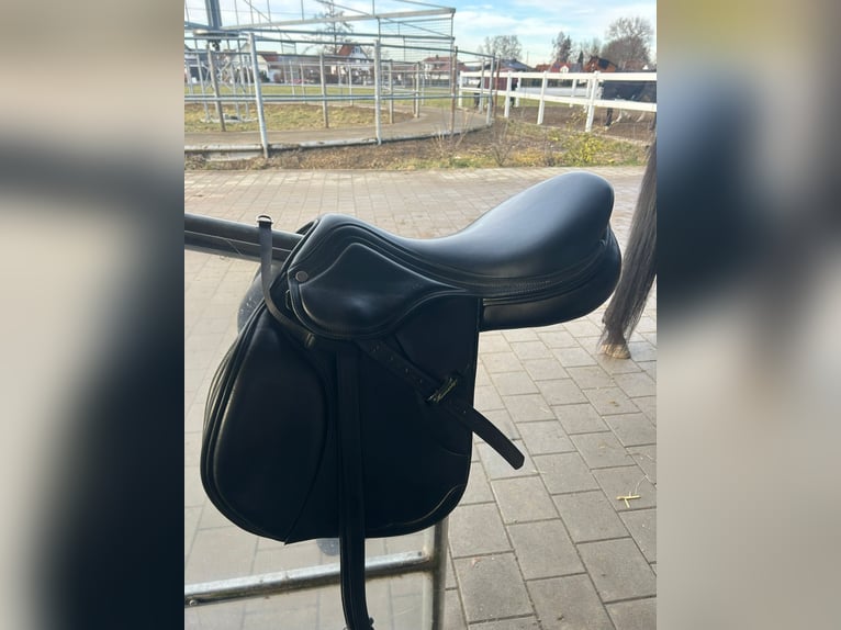 Amerigo Springsattel