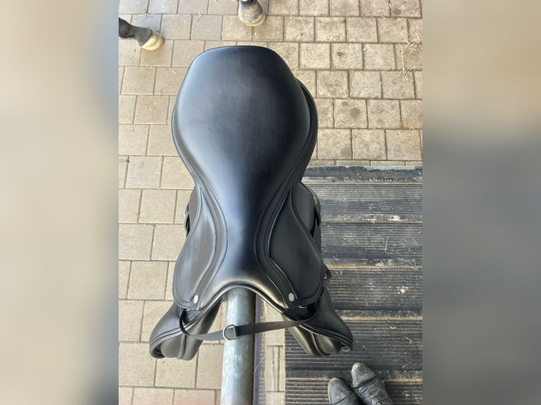 Amerigo Springsattel