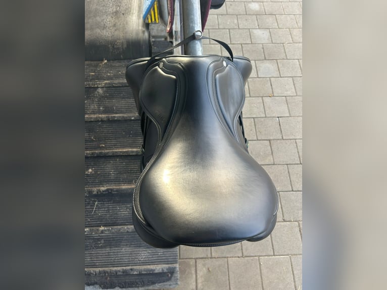 Amerigo Springsattel