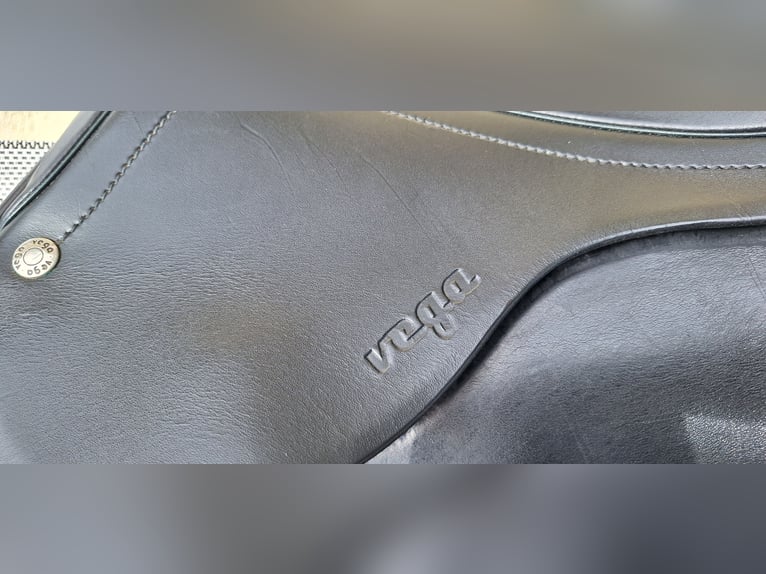 Amerigo Vega Springsattel 17``