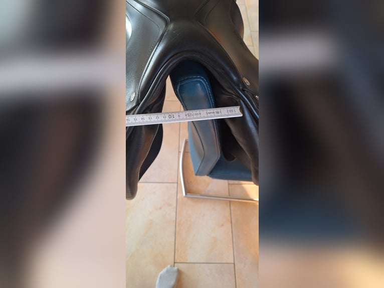 Amerigo Vega Springsattel 17``