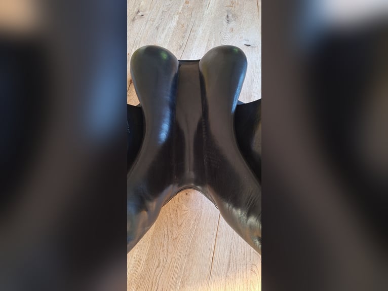 Amerigo Vega Springsattel 17``