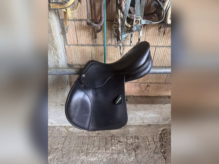 Amerigo Vega Springsattel