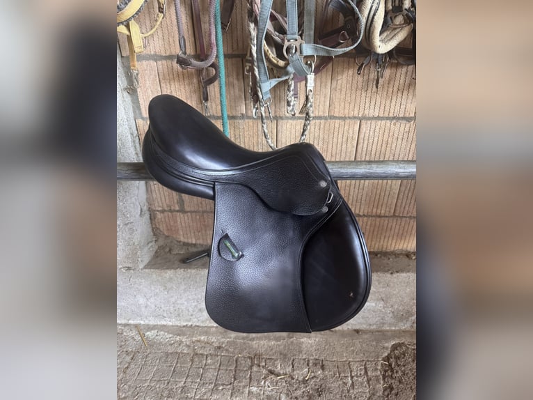 Amerigo Vega Springsattel