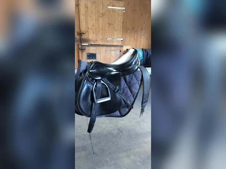 Amerigo Vega Springsattel