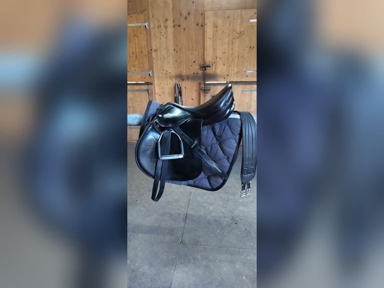 Amerigo Vega Springsattel