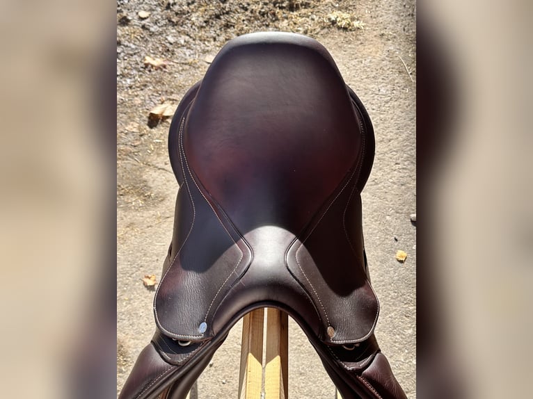 Antarès Connexion Springsattel