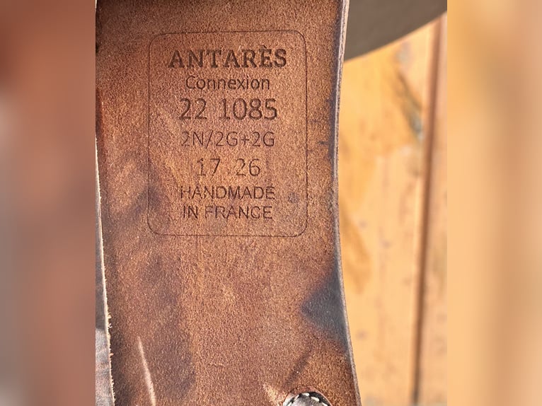 Antarès Connexion Springsattel