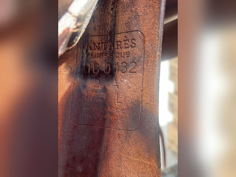 Antares Springsattel 17.5 Zoll