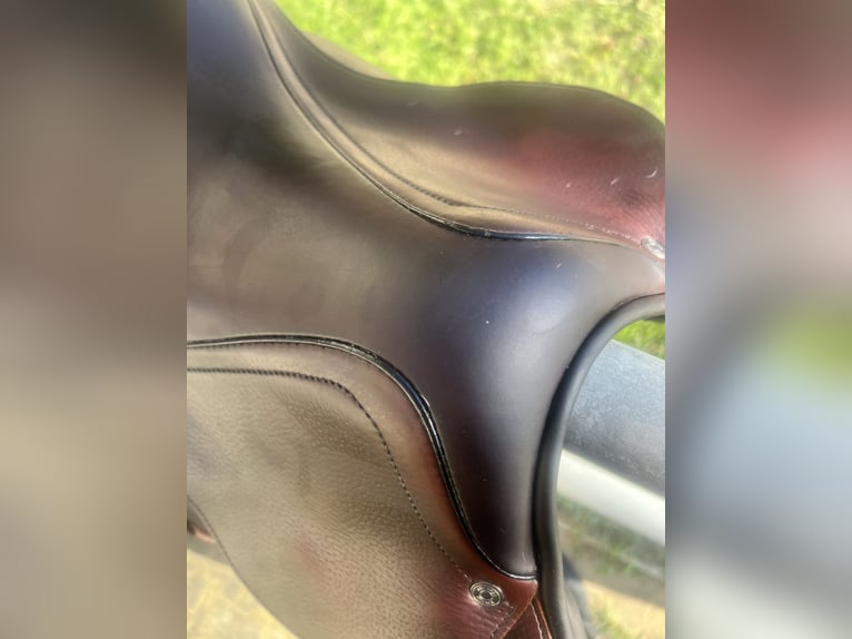 Antarès Springsattel Connexion | 17,5” | Dunkelbrau