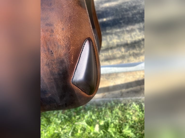 Antarès Springsattel Connexion | 17,5” | Dunkelbrau
