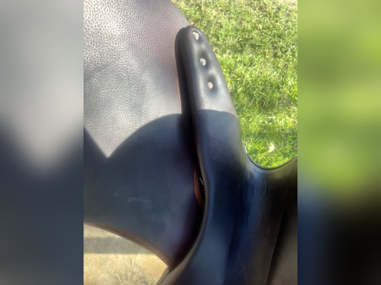 Antarès Springsattel Connexion | 17,5” | Dunkelbrau