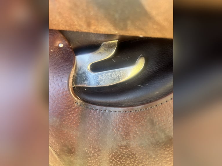 Antarès Springsattel Connexion | 17,5” | Dunkelbrau