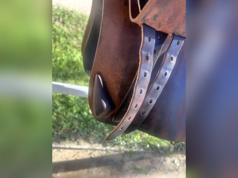 Antarès Springsattel Connexion| 17,5” | Dunkelbraun |