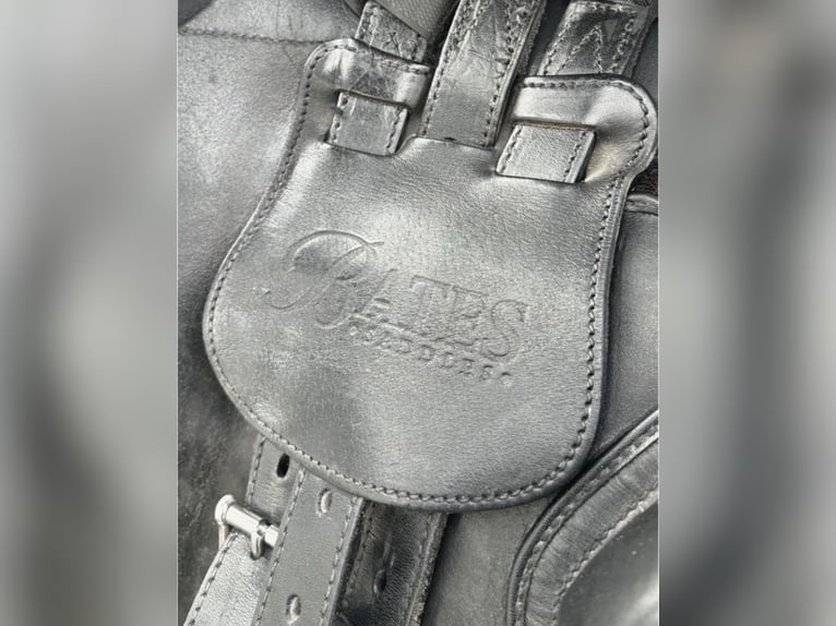 Bates Springsattel "17"