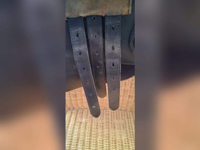 Bates Springsattel Caprilli 17,5 zoll