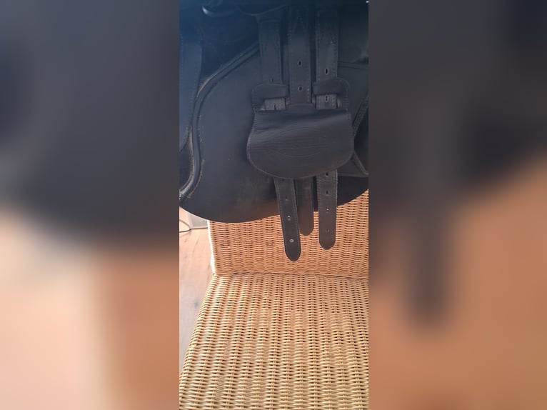 Bates Springsattel Caprilli 17,5 zoll