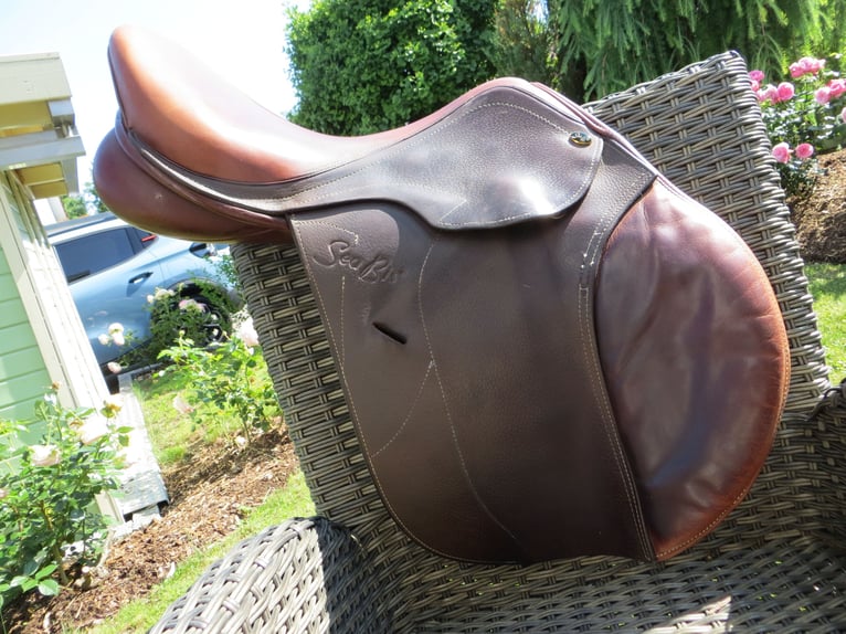 Brauner Springsattel Seabis Arona pro 17" Kammer M