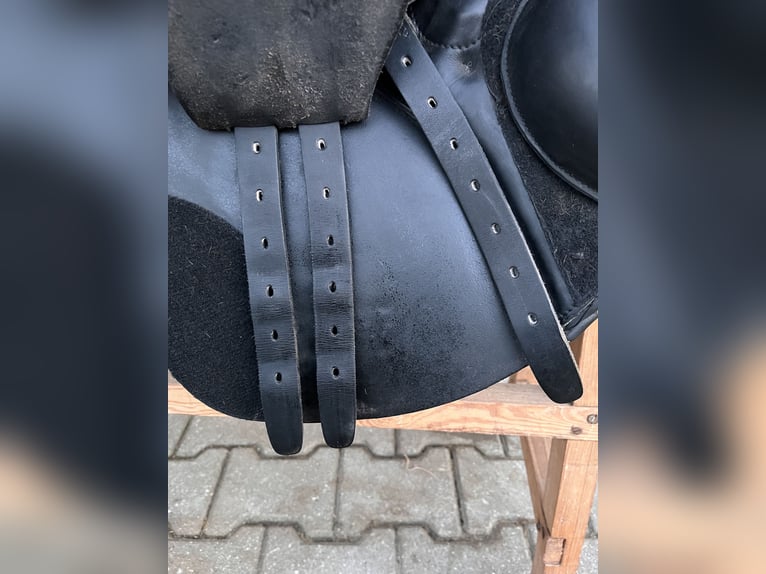 Busse Boston Springsattel 17,5‘