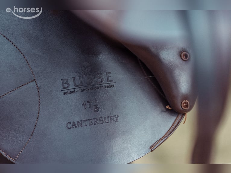 BUSSE Canterbury Solibel Springsattel - 17,5 Zoll - kaum genutzt - Preis VB!