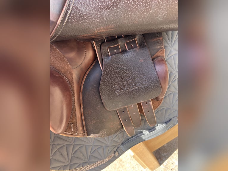 Busse Springsattel 17,5