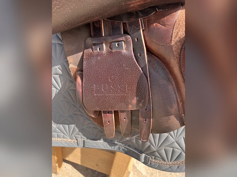 Busse Springsattel 17,5