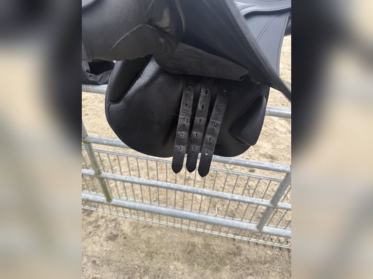 Bynamic Springsattel 17,5 Zoll