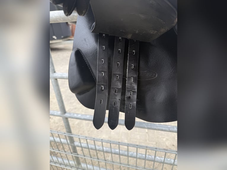 Bynamic Springsattel 17,5 Zoll