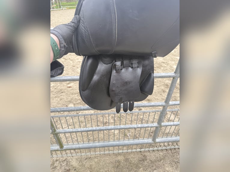 Bynamic Springsattel 17,5 Zoll