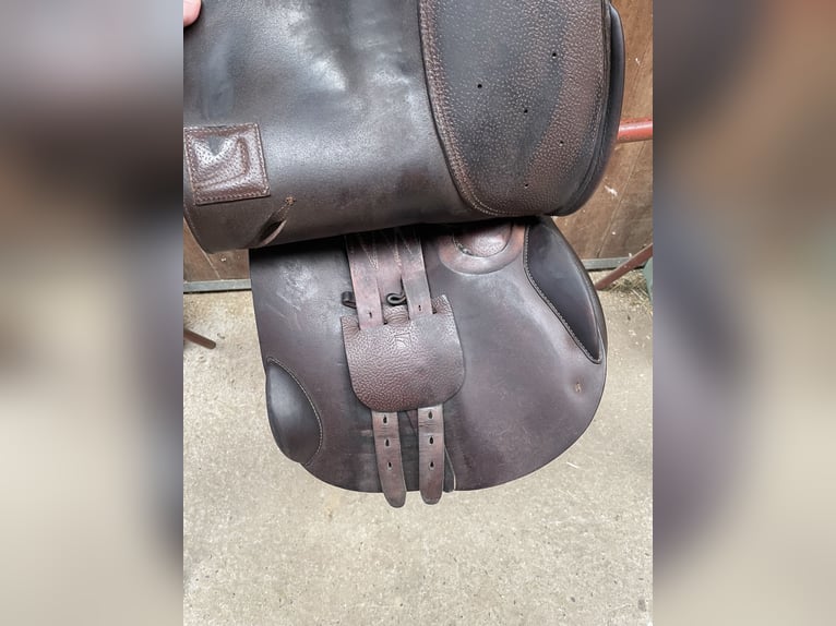 Childeric FAP 17,5 Zoll Springsattel