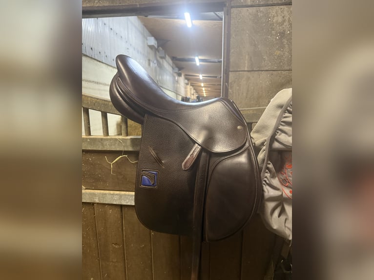 Childeric Springsattel