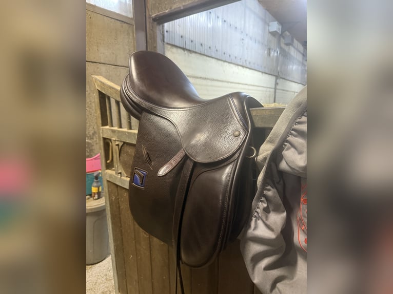 Childeric Springsattel