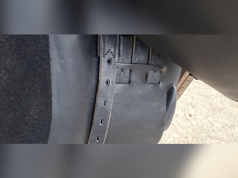 Cobra springsättel Set Rabatt möglich