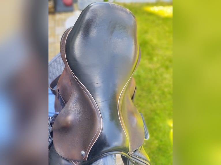 Custom Saddlery Springsattel 17,5