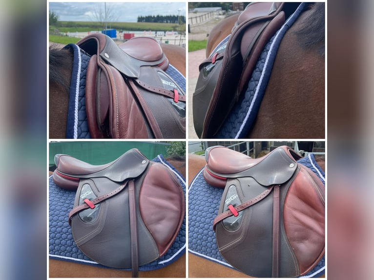 CWD 2G Carbon Sattel Springen