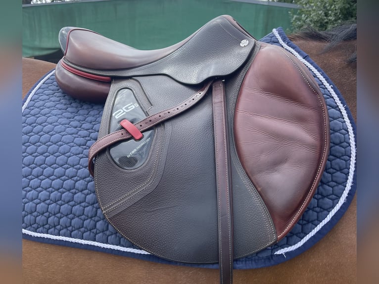 CWD 2G Carbon Sattel Springen