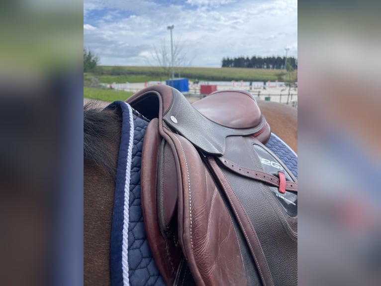 CWD 2G Carbon Sattel Springen