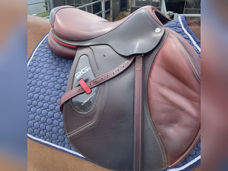 CWD 2G Carbon Sattel Springen
