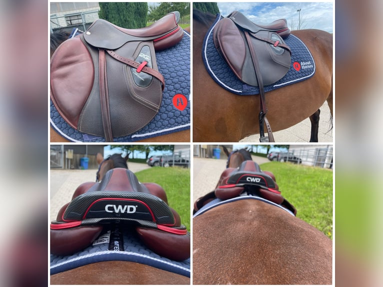 CWD 2G Carbon Sattel Springen