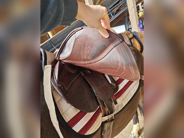 CWD Mademoiselle 2Gs 2C Springsattel